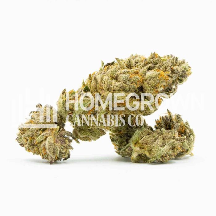 Quarter Pounder Autoflower Cannabis Seeds