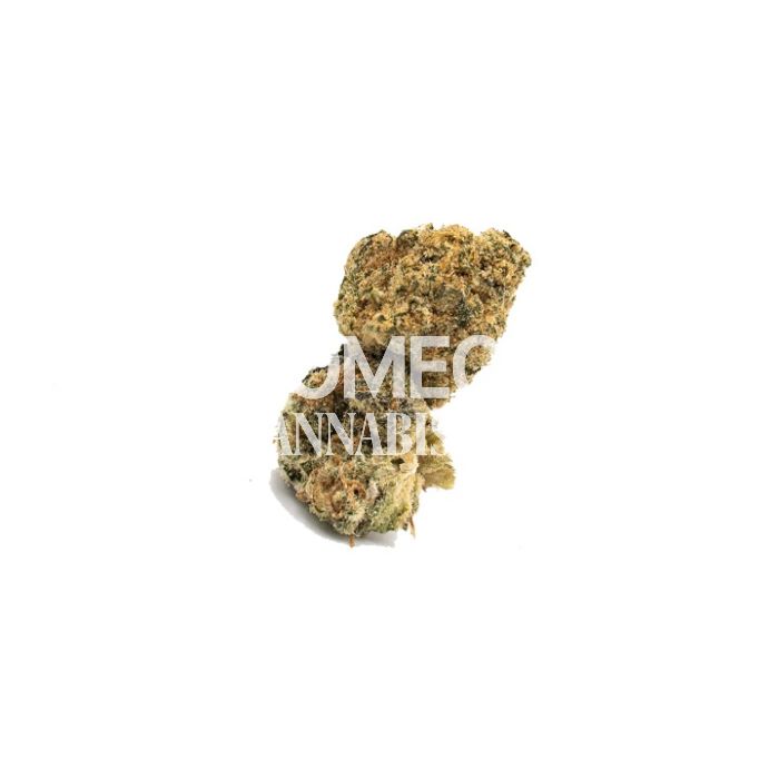 Apple Fritter Autoflower Cannabis Seeds