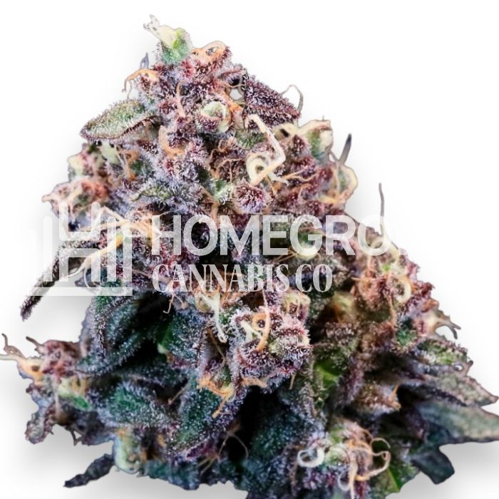 Black Frost Feminized Cannabis Seeds