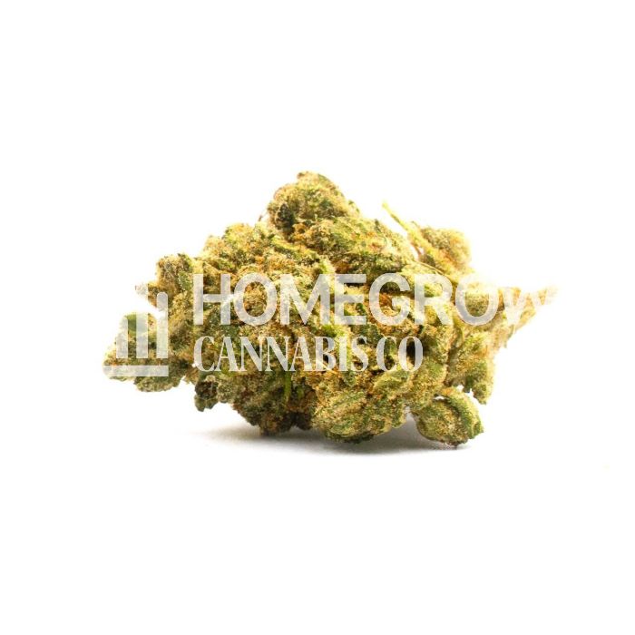 Baked Apple Feminized Cannabis Seeds