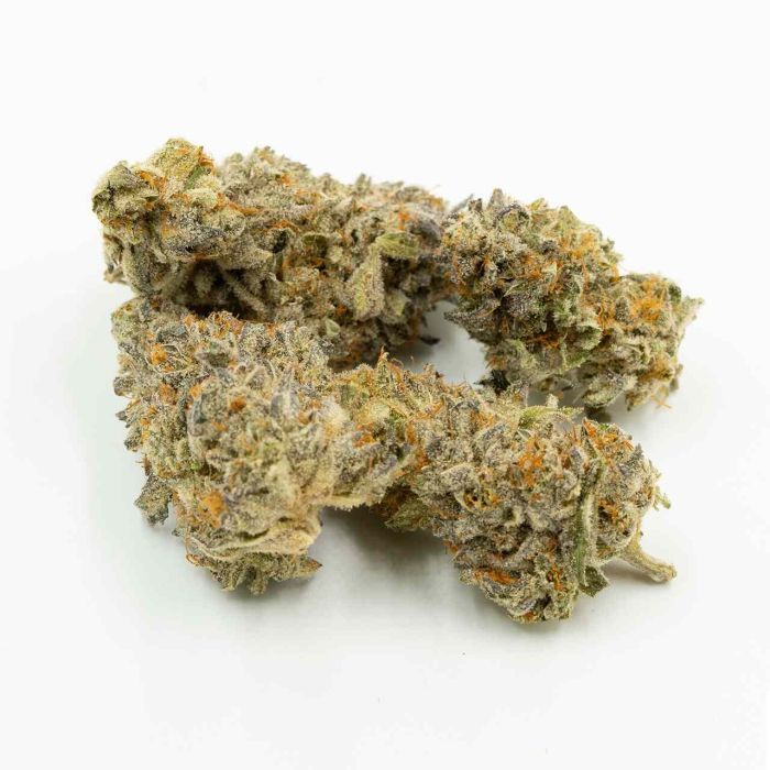 Sugar Black Rose Feminized Cannabis Seeds