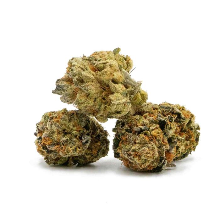 Granddaddy Purple Feminized Cannabis Seeds
