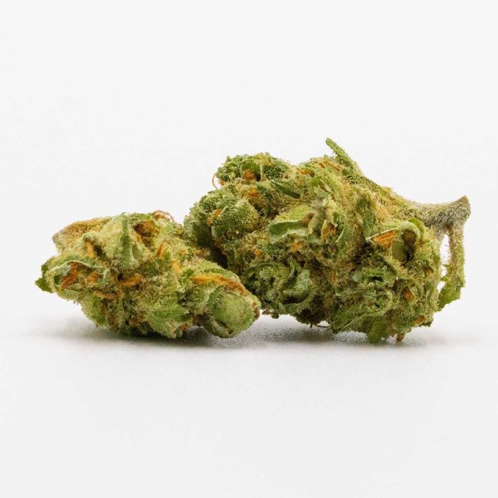 Super Silver Haze Feminized Cannabis Seeds