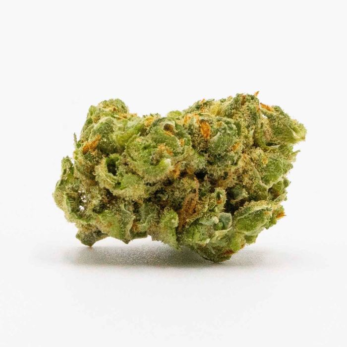 Critical Autoflower Cannabis Seeds