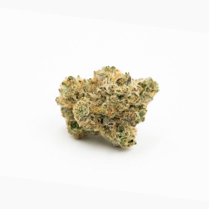 Gary Payton Autoflower Cannabis Seeds