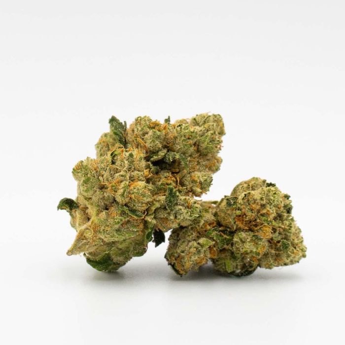 Amnesia Haze Feminized Cannabis Seeds