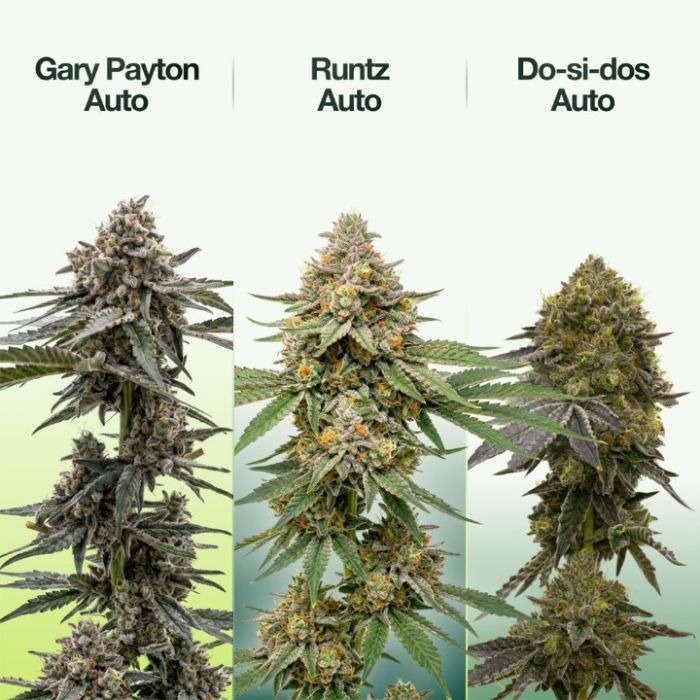 2026 Bestselling Hybrid Auto Collection