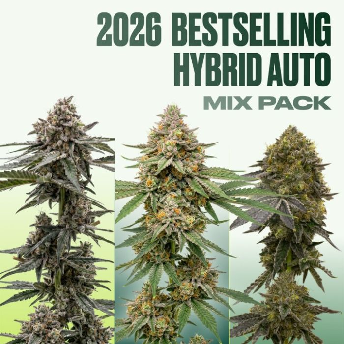 2026 Bestselling Hybrid Auto Collection