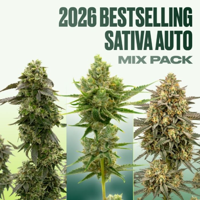 2026 Bestselling Sativa Auto Collection