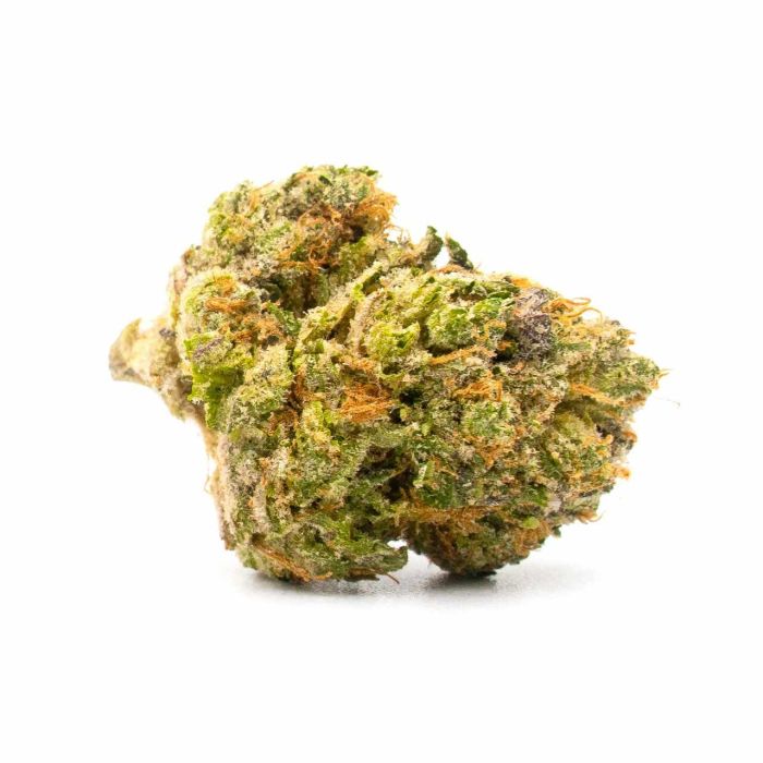 Girl Scout Cookies Feminized Cannabis Seeds