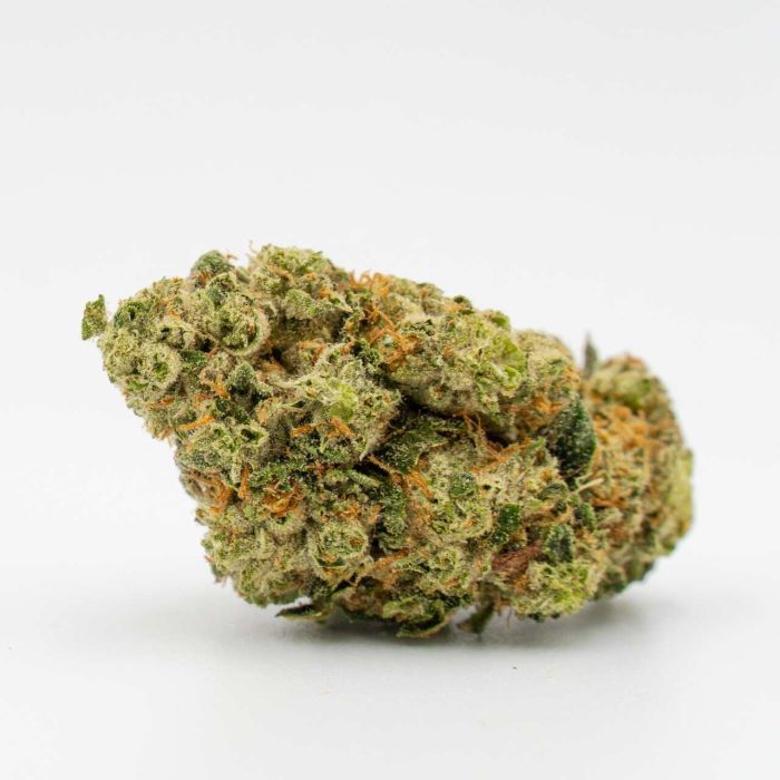 Big Bud Feminized Cannabis Seeds