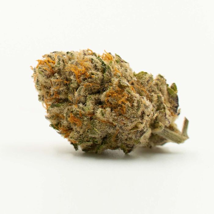 Star Killer Feminized Cannabis Seeds