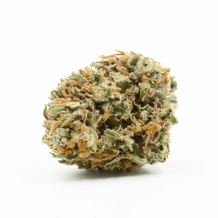 Jack Herer Feminized Cannabis Seeds