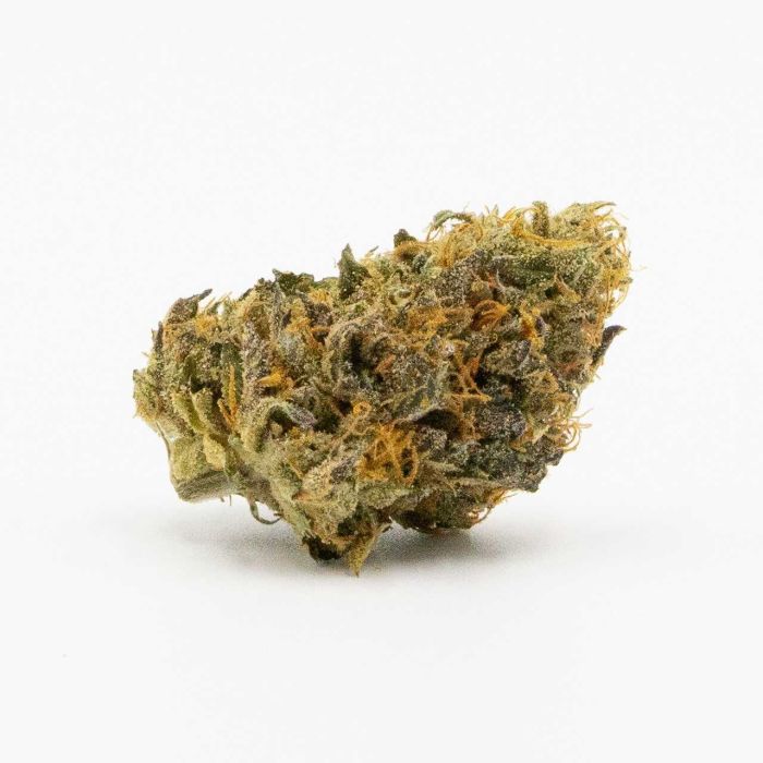 Critical Kush Feminized Cannabis Seeds