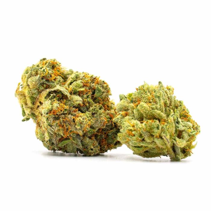 Steve's Dream Queen Feminized Cannabis Seeds