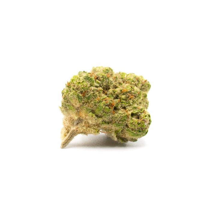 Fat Mazzy Feminized Cannabis Seeds