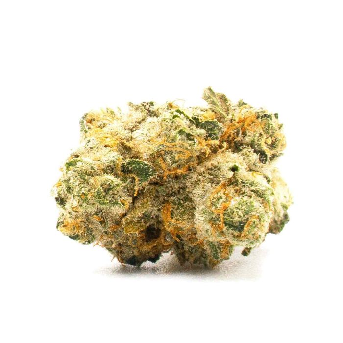 Northern Dawn Feminized Cannabis Seeds