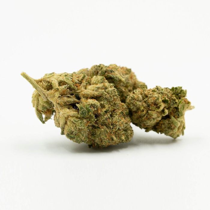 Master Kush Feminized Cannabis Seeds