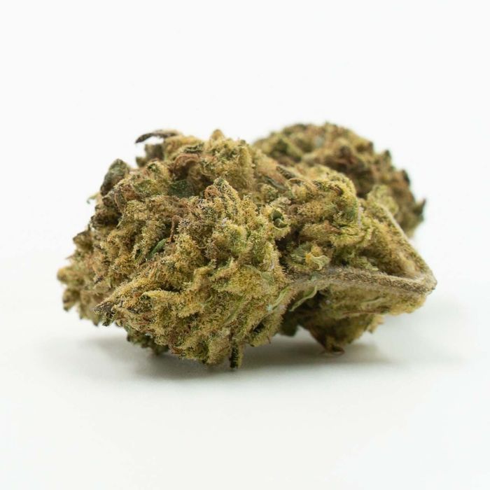 White Russian Fast Version Cannabis Seeds