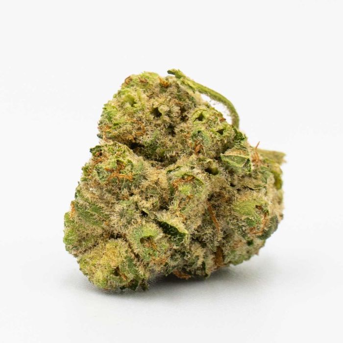 Blue Princess Fast Version Cannabis Seeds