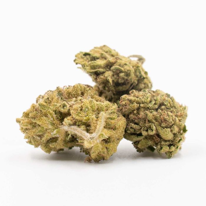CBD White Widow Autoflower Cannabis Seeds