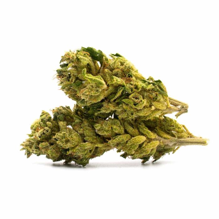 Mazar Feminized Cannabis Seeds