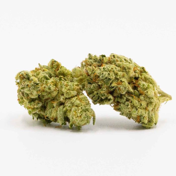 San Fernando Valley Kush Feminized Cannabis Seeds