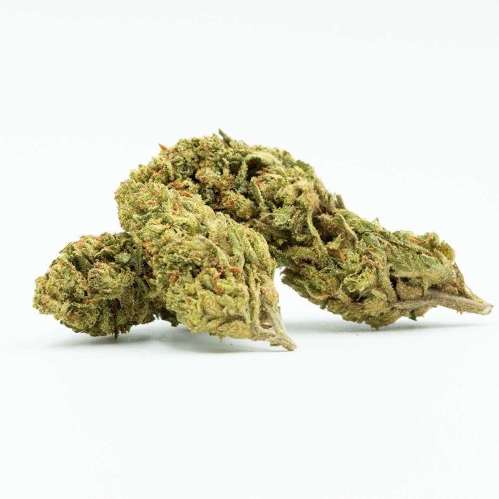 White Rhino Feminized Cannabis Seeds