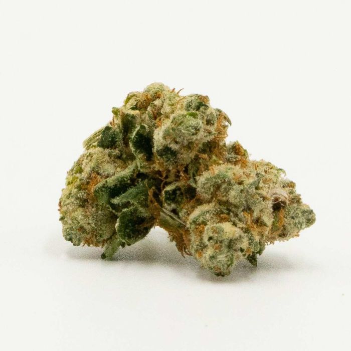 True OG Feminized Cannabis Seeds