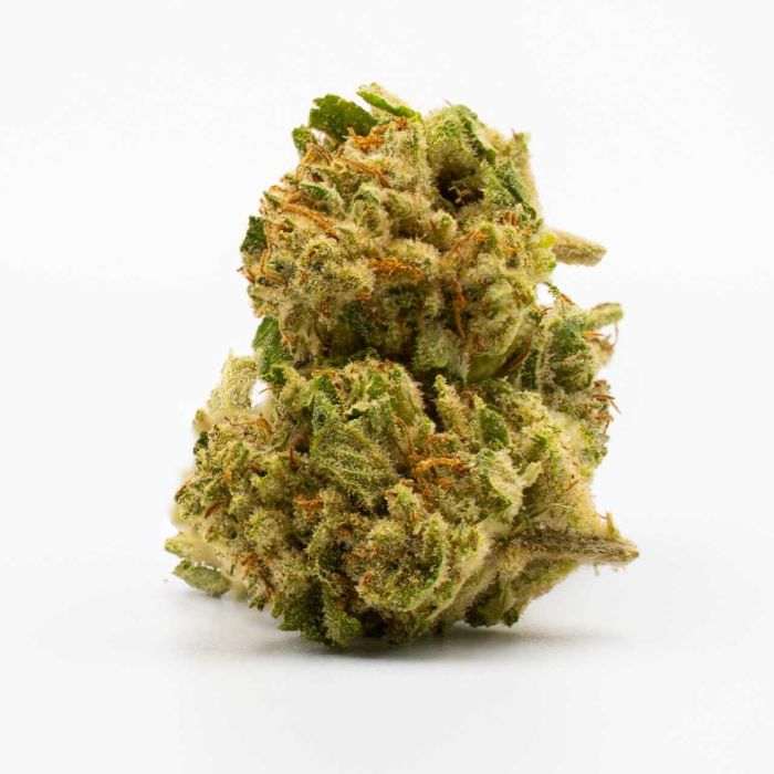 Tangie Autoflower Cannabis Seeds