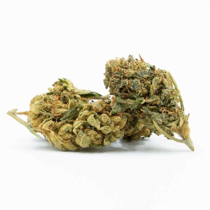 White Widow Feminized Cannabis Seeds