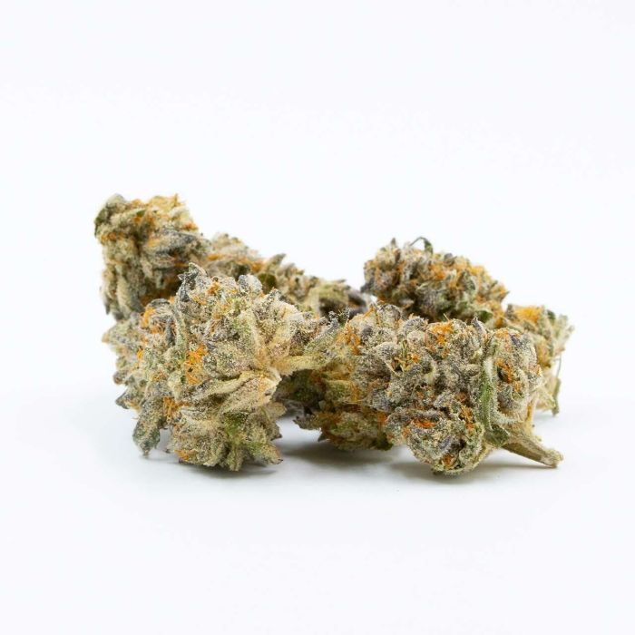 Black Jack Autoflower Cannabis Seeds