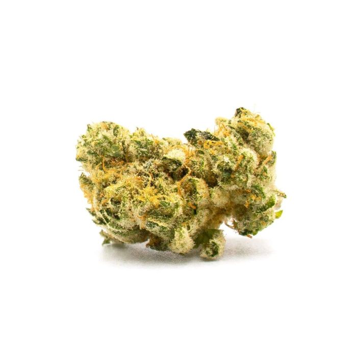 Maple Leaf Feminized Cannabis Seeds