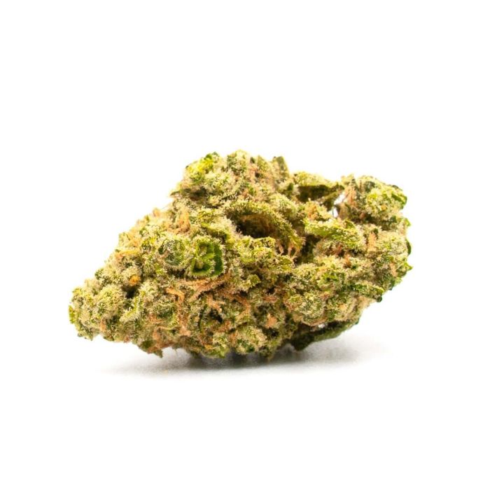 Moby Dick Autoflower Cannabis Seeds