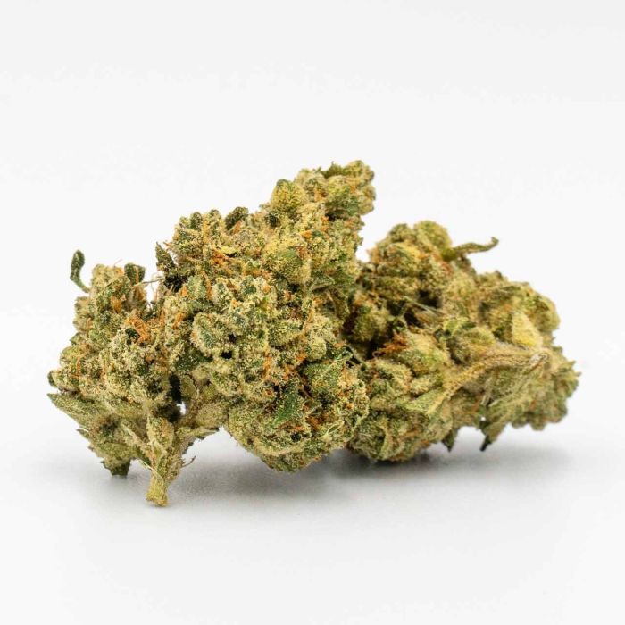 Northern Lights Autoflower Cannabis Seeds