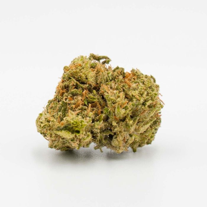 CBD Kush Autoflower Cannabis Seeds