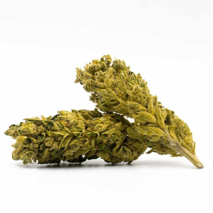 Runtz Feminized Cannabis Seeds