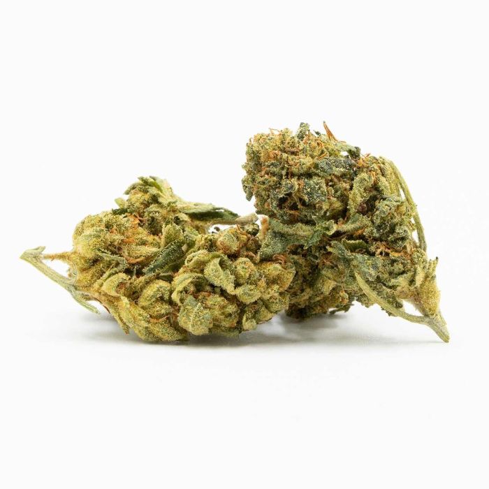 Zkittlez Autoflower Cannabis Seeds