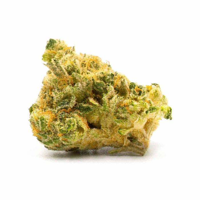 Northern Lights Feminized Cannabis Seeds