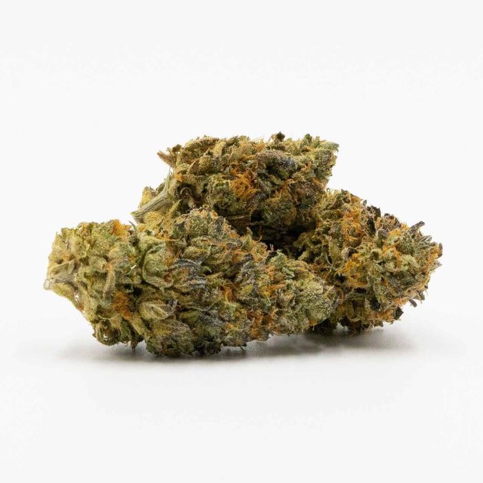 Gelato Autoflower Cannabis Seeds