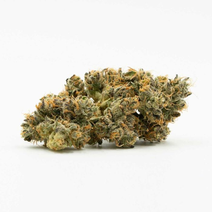 OG Kush Feminized Cannabis Seeds