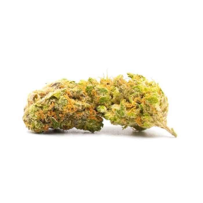 Panama Feminized Cannabis Seeds