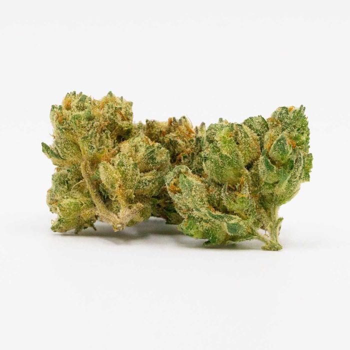 Moby Dick Feminized Cannabis Seeds
