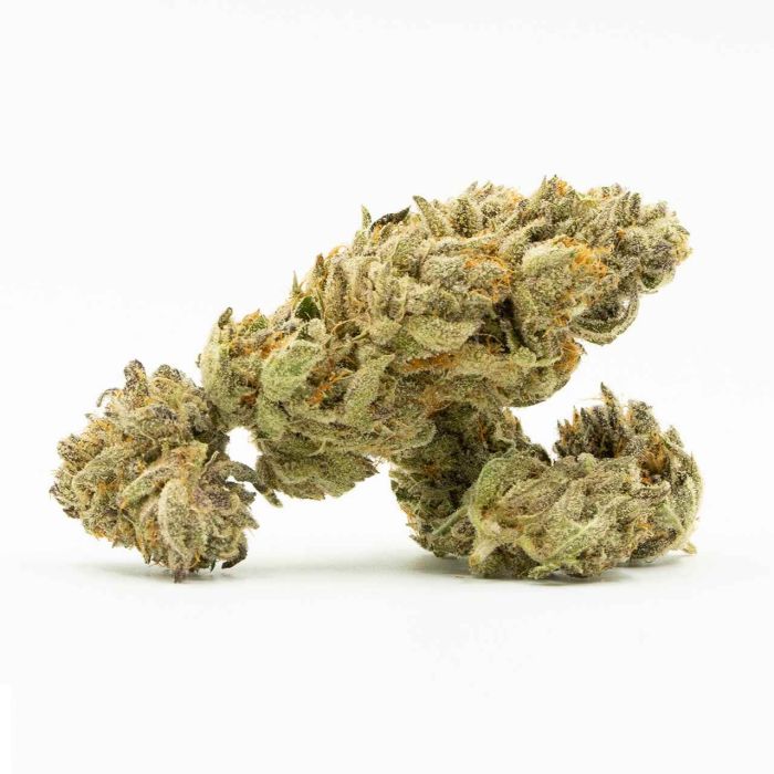 Jedi Cookies Feminized Cannabis Seeds