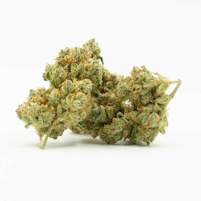 California Dream Feminized Cannabis Seeds