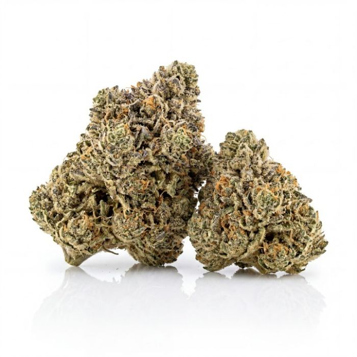 Sticky Dickie Seeds