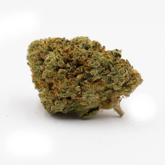 Gary Payton Feminized Cannabis Seeds