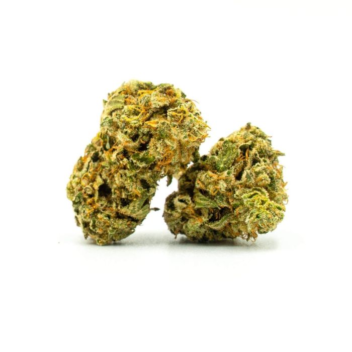 Pine Autoflower Cannabis Seeds