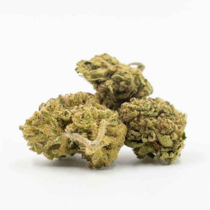 Cake Bomb Feminized Cannabis Seeds