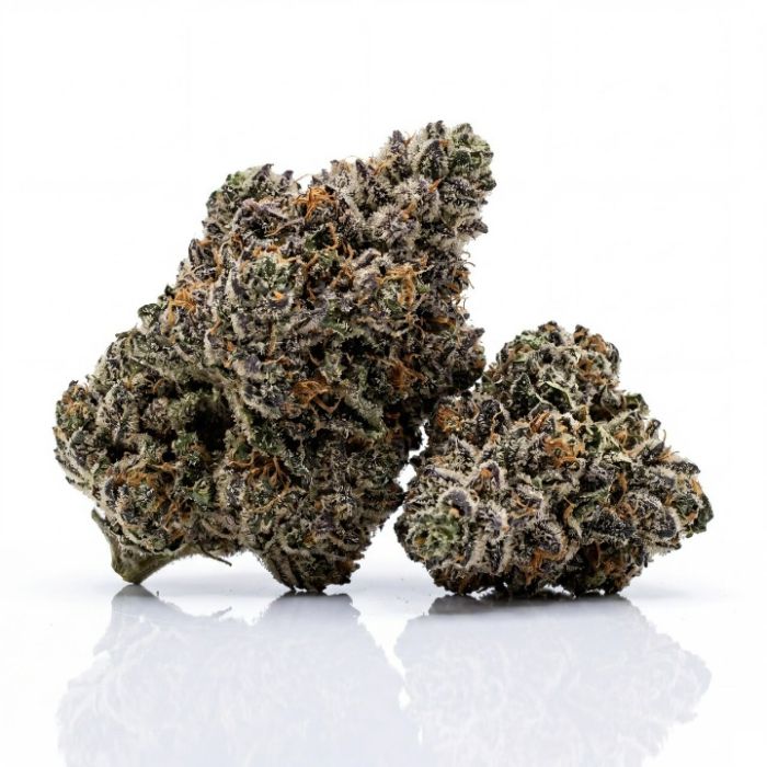 Bacio Gelato Seeds
